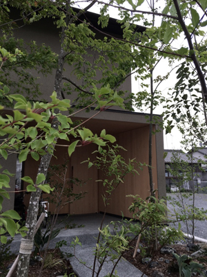 houseTT 庭　Snowdesignoffice スノーデザインオフィス 静岡 住宅設計　設計事務所